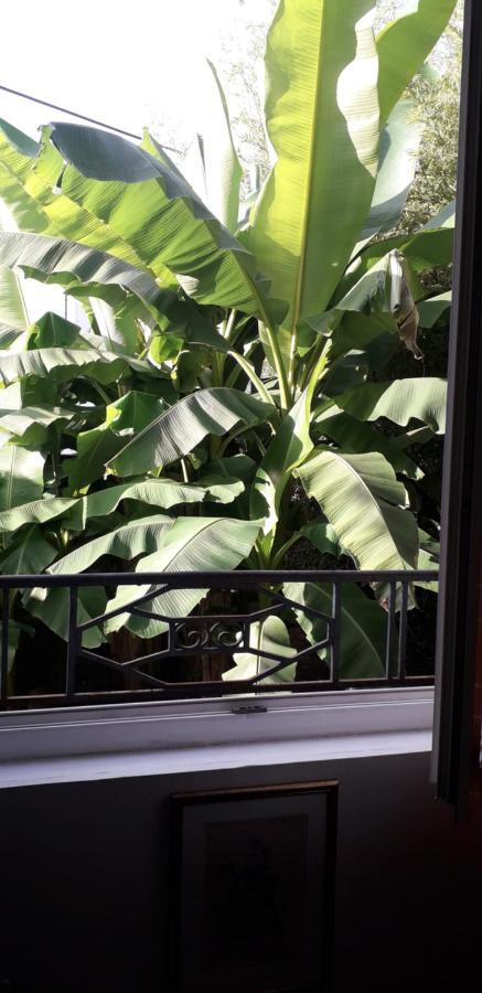 مبيت وإفطار Périgueux Cote Jardin المظهر الخارجي الصورة